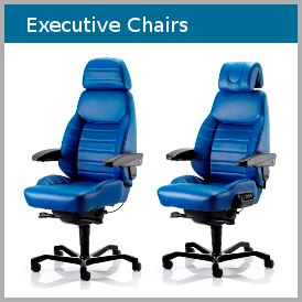 Comfy-Seating-Ergonomic-Executive-Chairs
